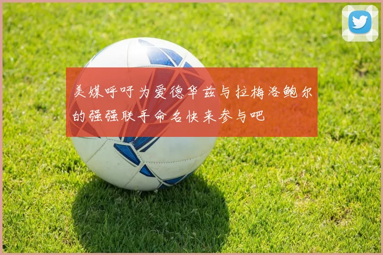 美媒呼吁为爱德华兹与拉梅洛鲍尔的强强联手命名快来参与吧